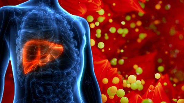 atlas-featured-1569-1774453556-yWoBVs